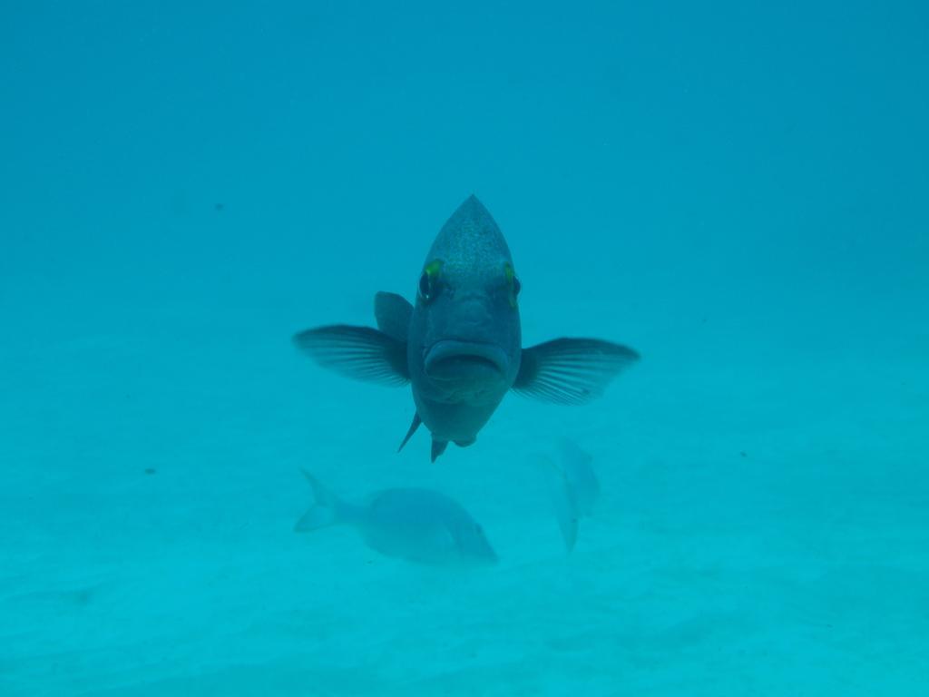 Ningaloo Bed And Breakfast Exmouth Luaran gambar