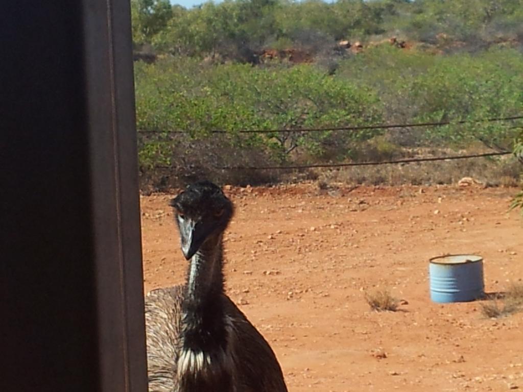 Ningaloo Bed And Breakfast Exmouth Luaran gambar