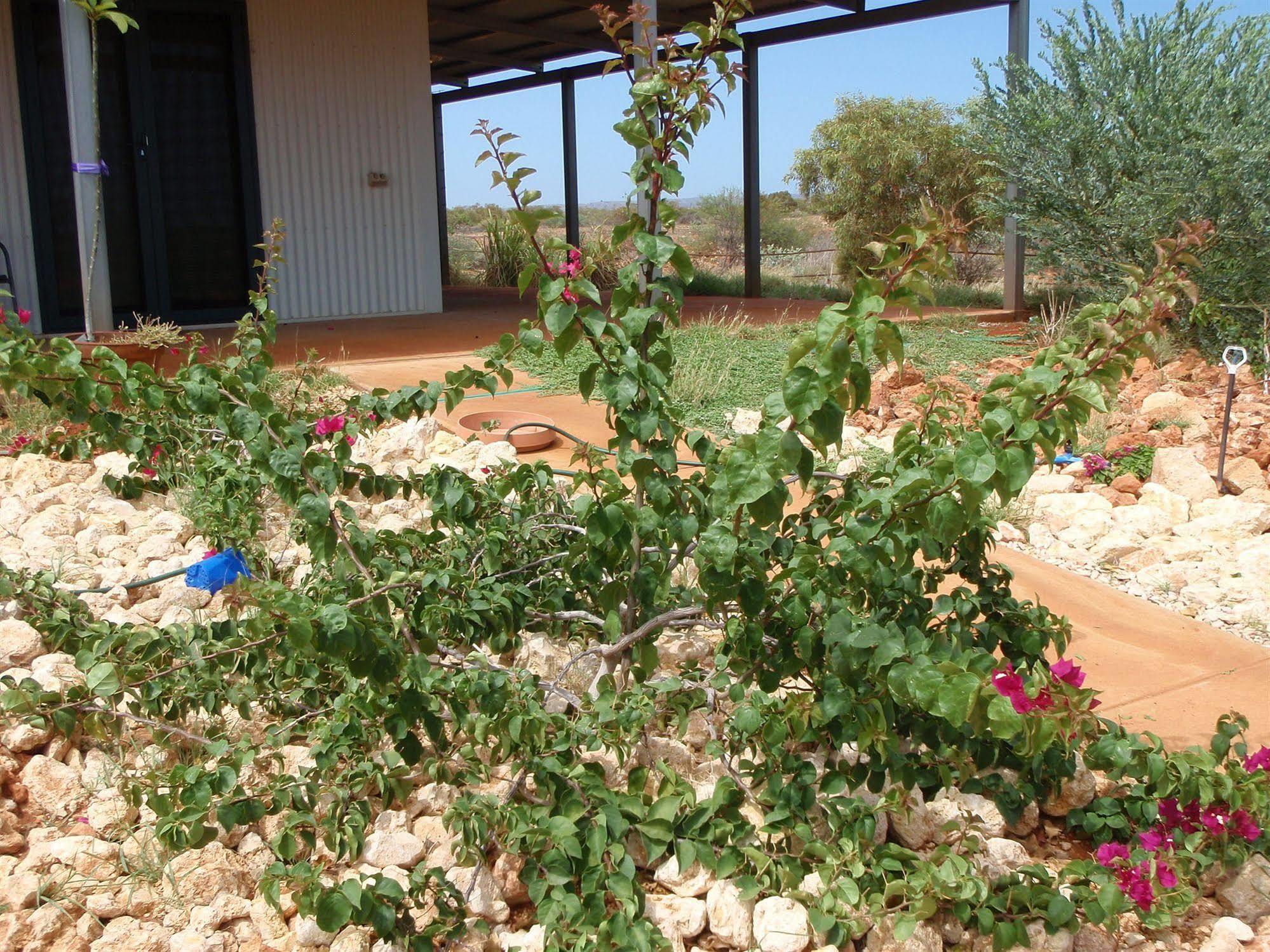 Ningaloo Bed And Breakfast Exmouth Luaran gambar